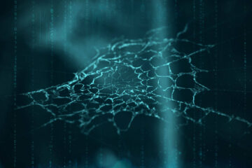 Your information is on the dark web. What happens next?