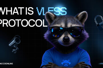 RaccoonLine Shares Technical Overview of VLESS Protocol in New Engineering Explainer - Latest Hacking News